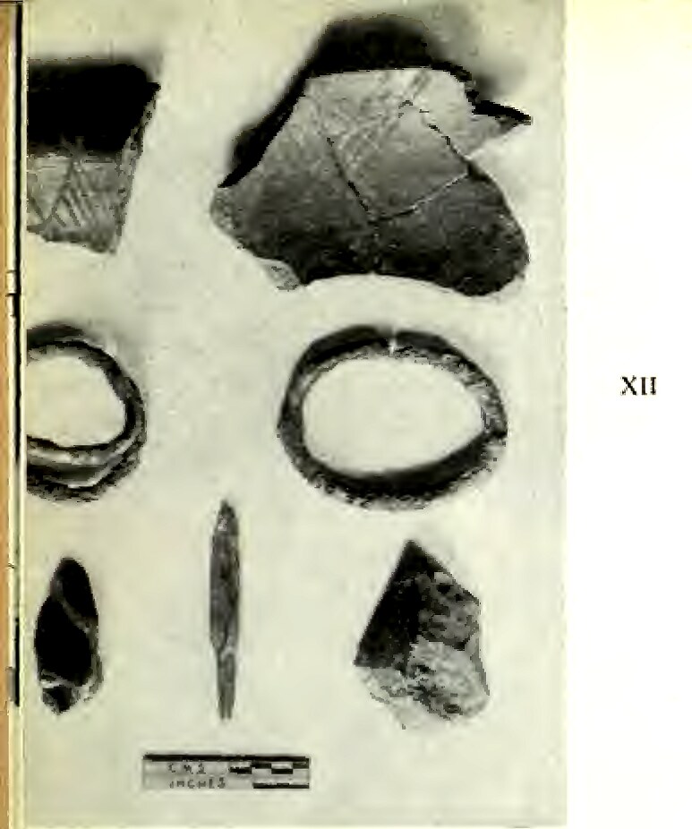 Plate XII: Period II material assemblage — painted pottery sherds, copper bangles, microlith, and bone arrowhead from Pandu Rajar Dhibi.